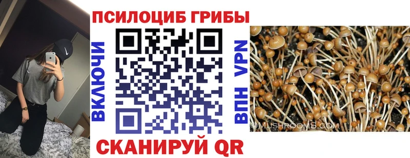 Галлюциногенные грибы Magic Shrooms  Ак-Довурак 